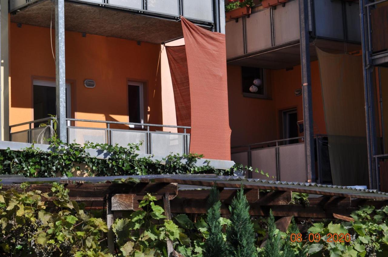 Pension Di Pino Aue  Exterior foto